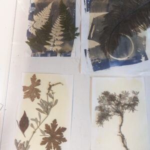 Workshop ‘Van Dyke’ 11.10.2025