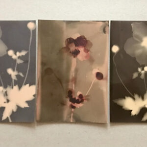 Workshop ‘Inkt en ontwikkelaar maken met kruiden en onkruid’ 27.09.2025