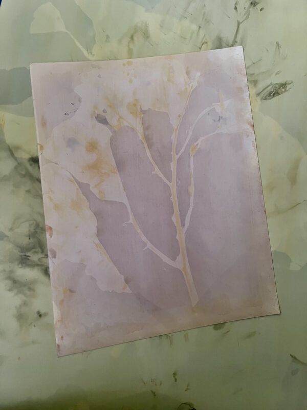 Workshop ‘Analoge fotografie met huis-tuin-en-keukenmaterialen’ 13.09.2025 - Afbeelding 4